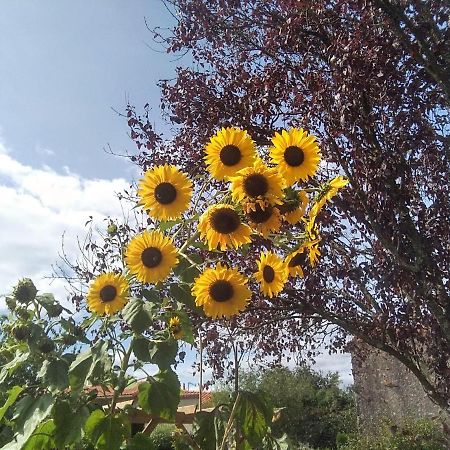 Les Tournesols Bed & Breakfast La Bernardiere ภายนอก รูปภาพ