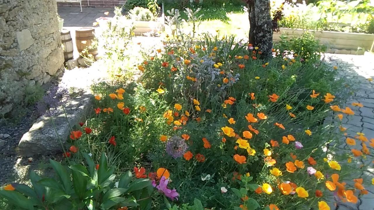 Les Tournesols Bed & Breakfast La Bernardiere ภายนอก รูปภาพ