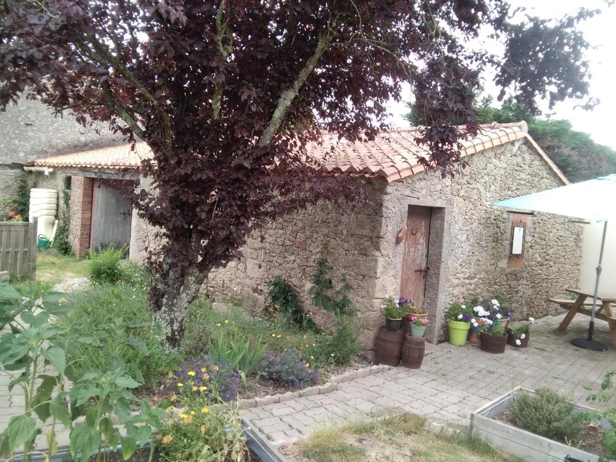 Les Tournesols Bed & Breakfast La Bernardiere ภายนอก รูปภาพ